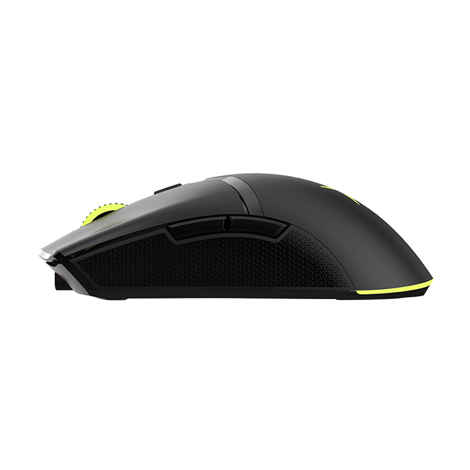 DELUX M800 Gaming Mouse (Black)